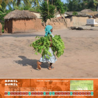 Das Titelbild des Togo-Kalenders 2017