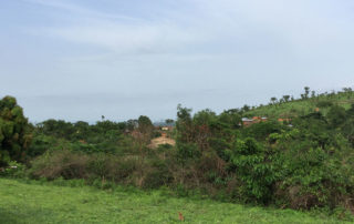 Rundreise durch Togo - Station Illico