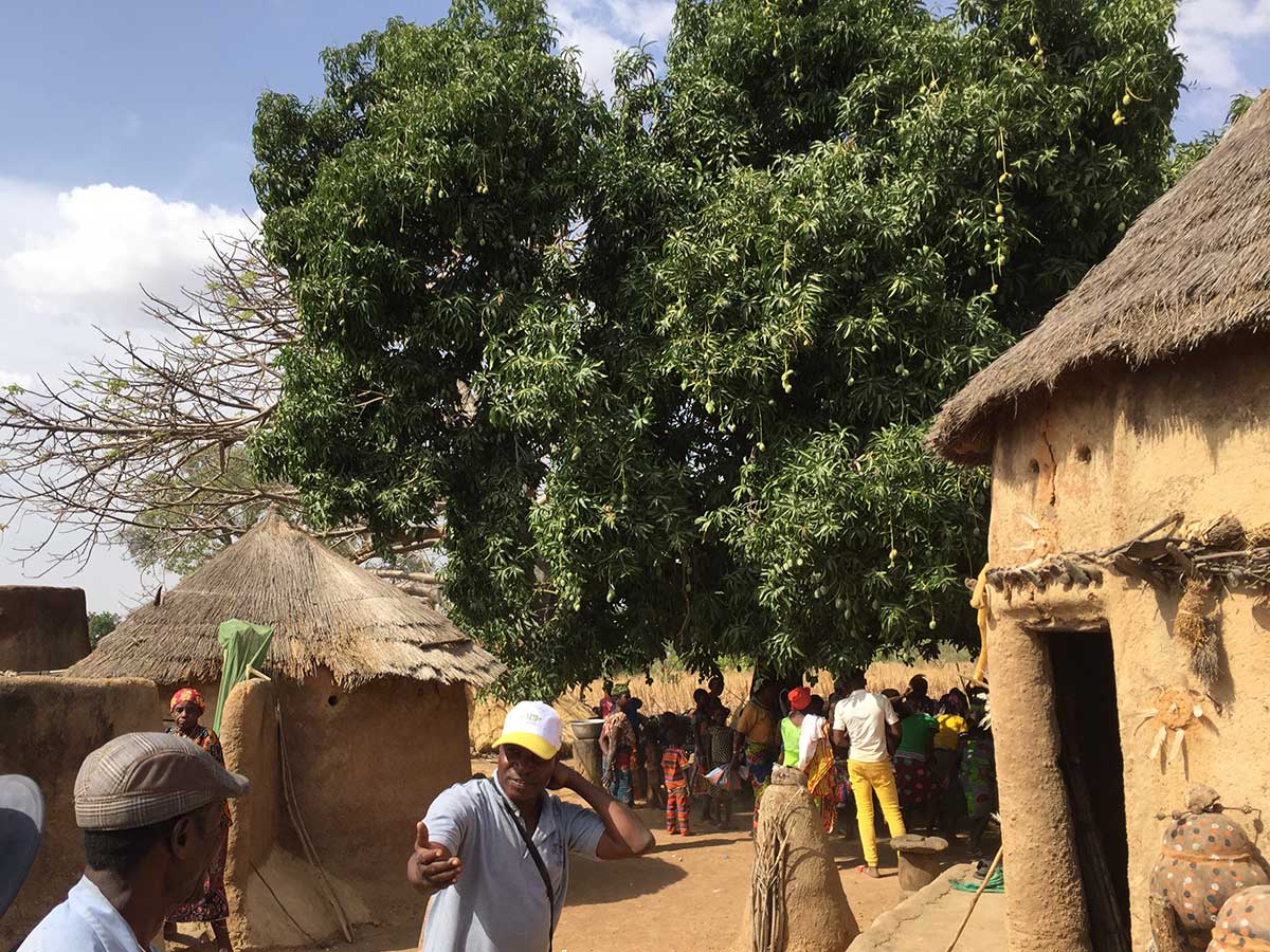 Versammlungen finden immer unterm Dorf-Mangobaum statt