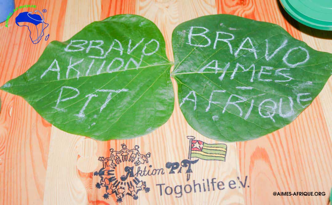 Große Blätter mit Bravo Aktion PiT und Bravo Aimes-Afrique als Inschrift