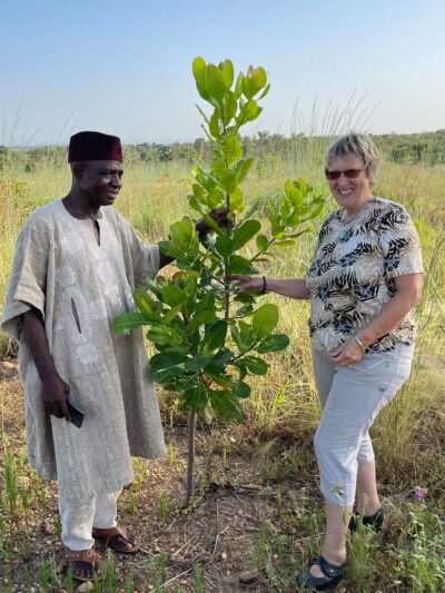 Cashew-Baum in Djamde mit dem Dorfchef