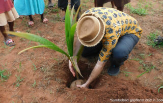 Andy Kopp pflanzt eine Palme in Togo