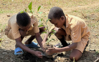Zwei Schüler pflanzen einen Baum