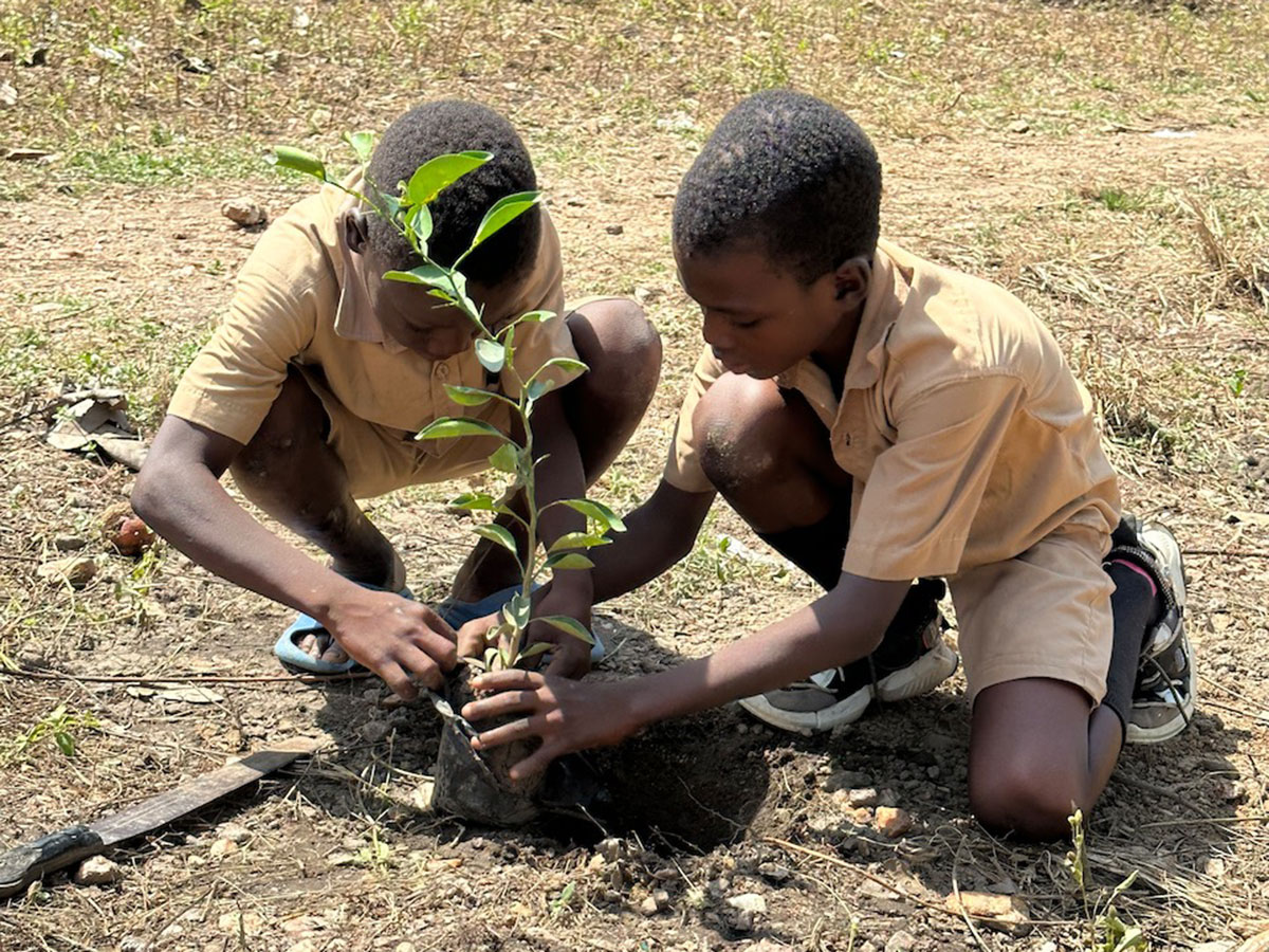 2 Schüler helfen in Djamdé beim pflanzen