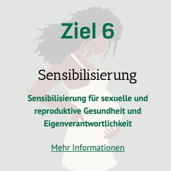 Ziel 6