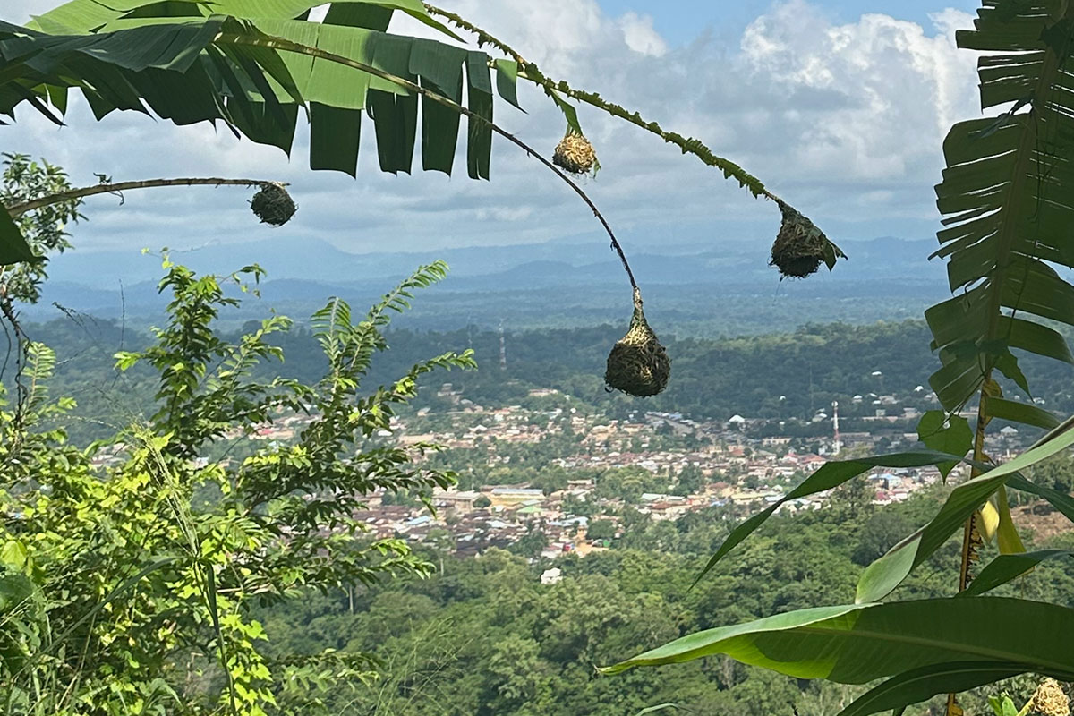 Die Kleinstadt Badou